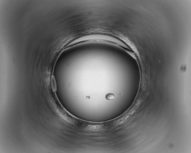 X0000099510057200805291158