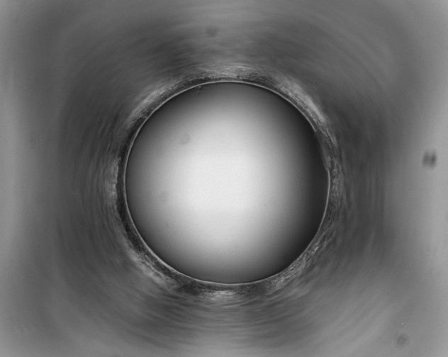 X0000099510058200805291158