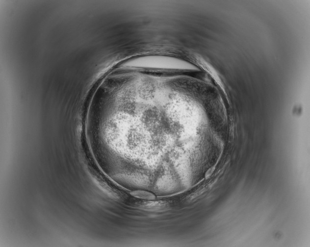 X0000099510059200805291158