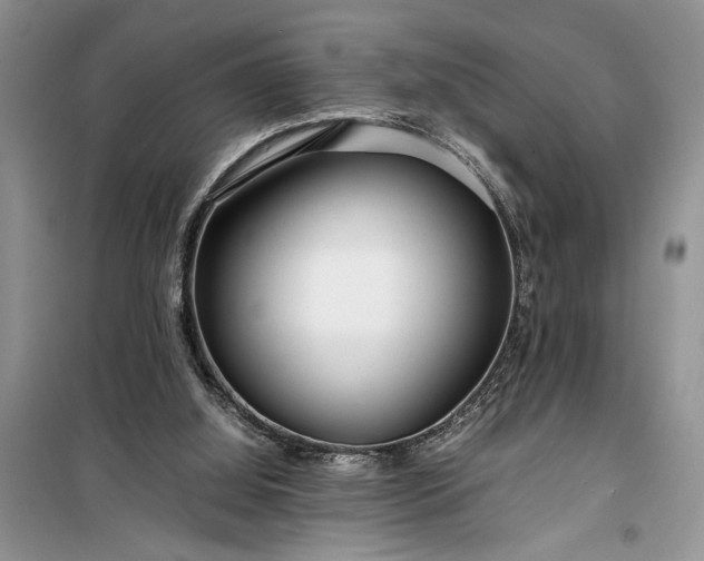 X0000099510060200805291158