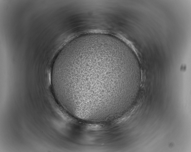 X0000099510061200805291158