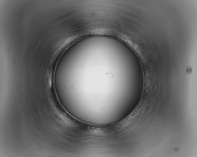 X0000099510062200805291158