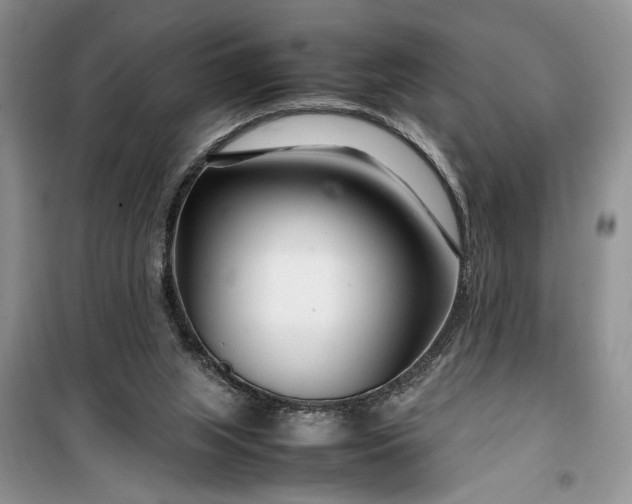 X0000099510063200805291158