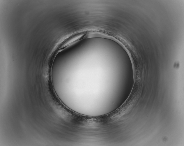 X0000099510064200805291158