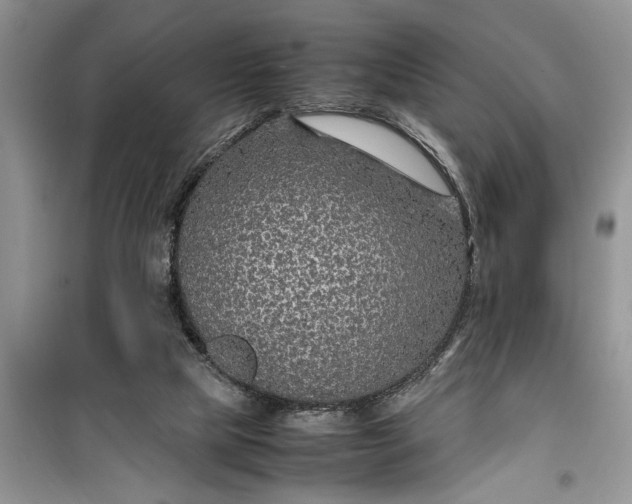 X0000099510065200805291158