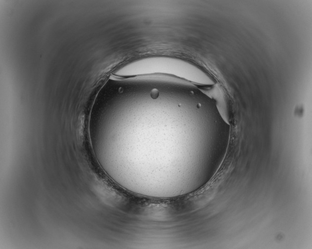 X0000099510066200805291158