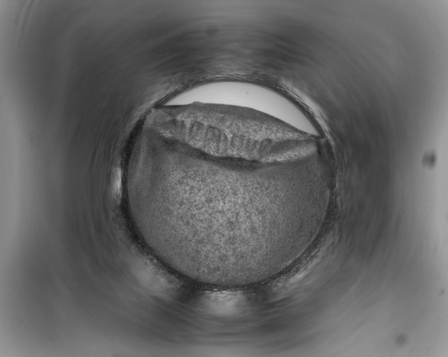 X0000099510067200805291158