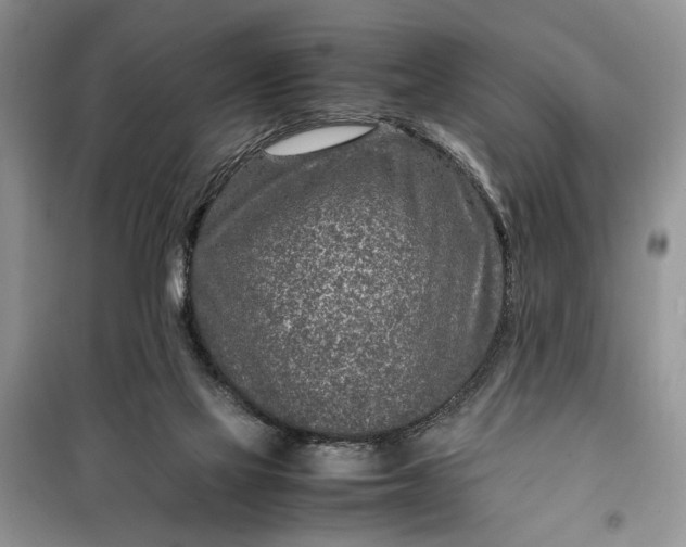 X0000099510069200805291158