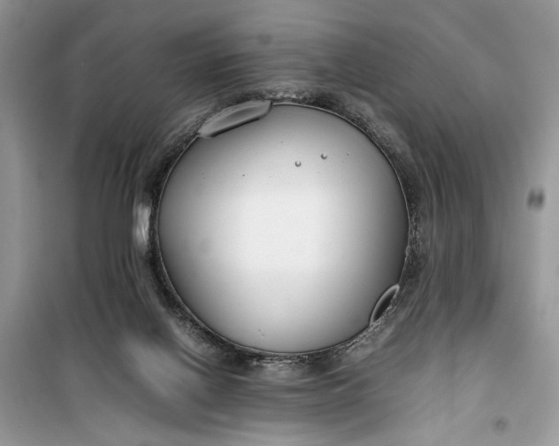 X0000099510070200805291158