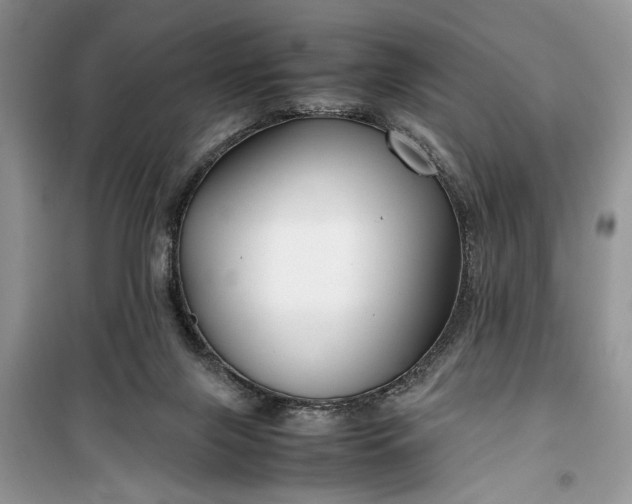 X0000099510071200805291158