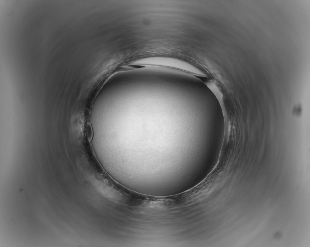 X0000099510072200805291158