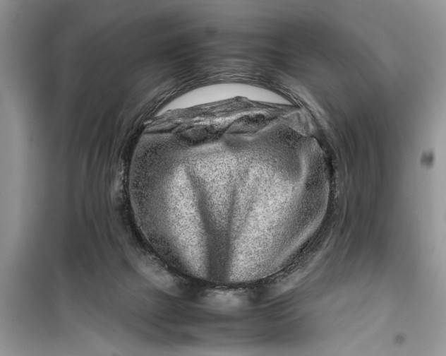 X0000099510073200805291158