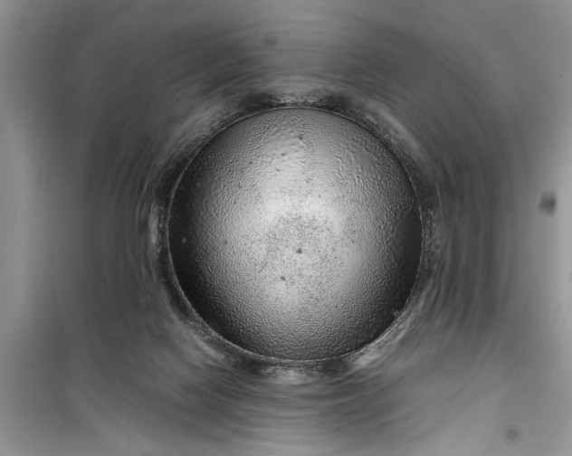 X0000099510074200805291158