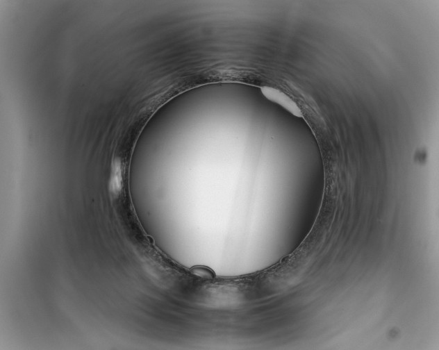 X0000099510075200805291158