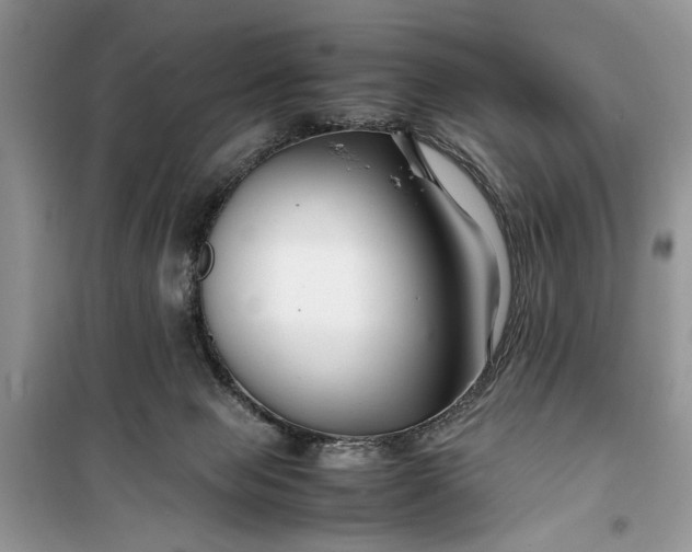 X0000099510077200805291158