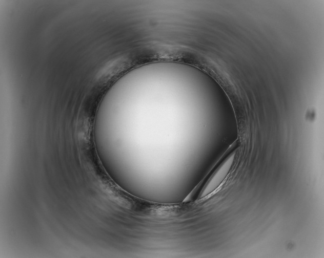 X0000099510078200805291158