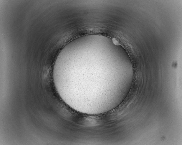 X0000099510079200805291158