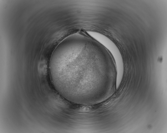 X0000099510080200805291158