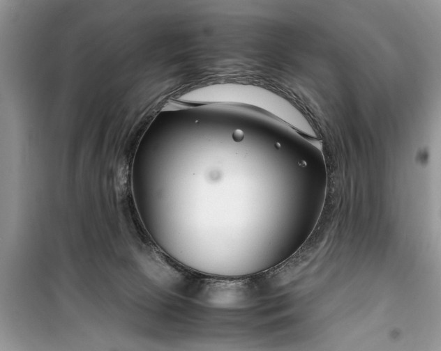 X0000099510081200805291158