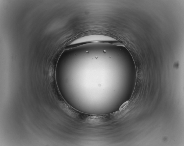 X0000099510082200805291158