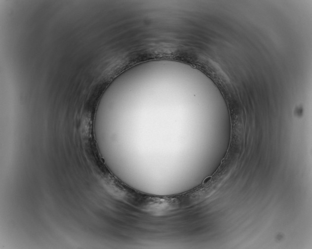 X0000099510083200805291159