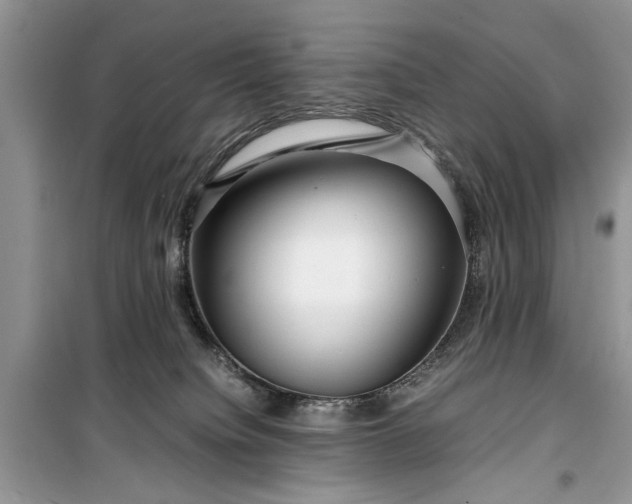 X0000099510084200805291159