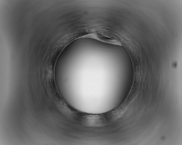 X0000099510085200805291159