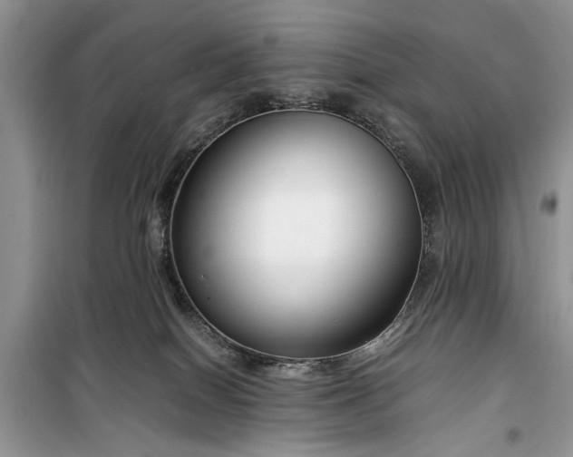 X0000099510086200805291159