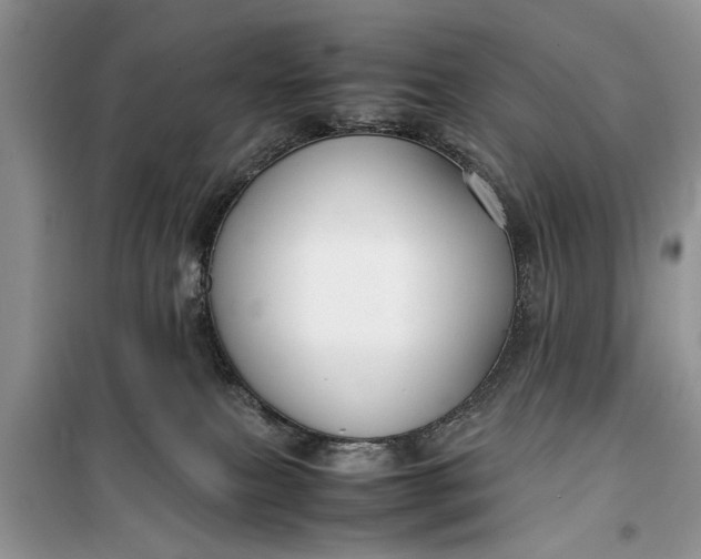 X0000099510087200805291159