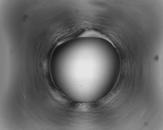 X0000099510088200805291159