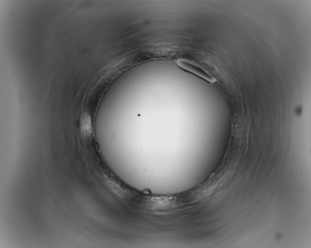 X0000099510089200805291159