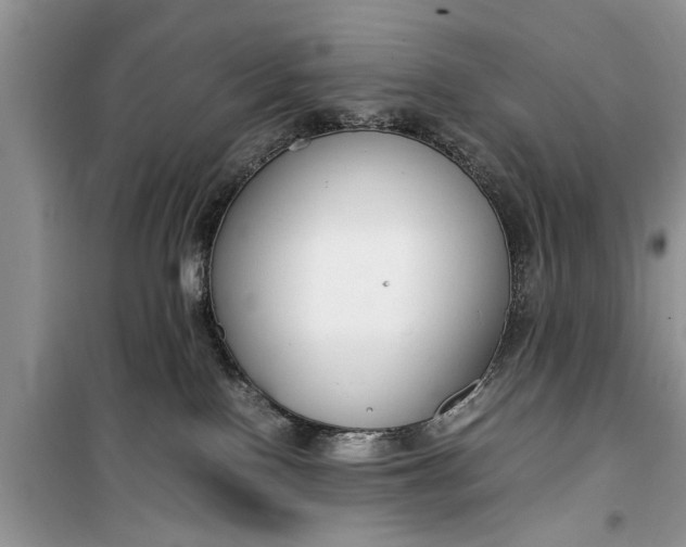 X0000099510090200805291159