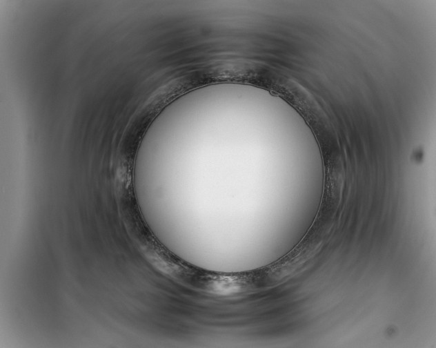 X0000099510091200805291159