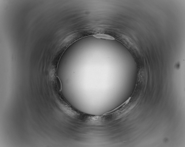 X0000099510092200805291159