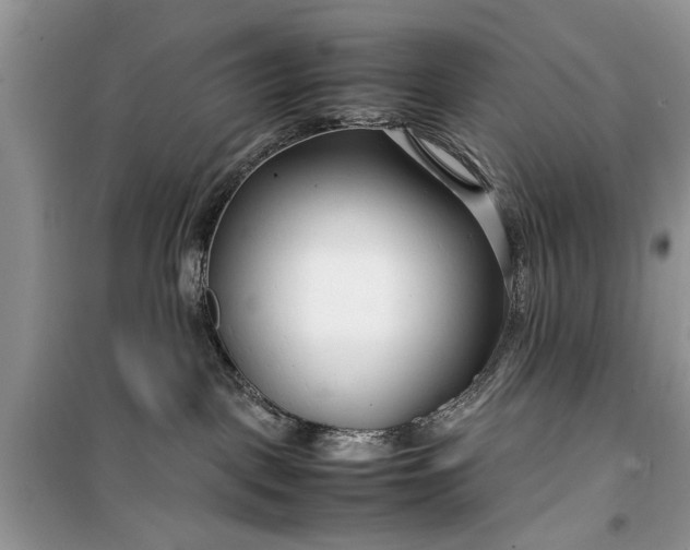 X0000099510093200805291159