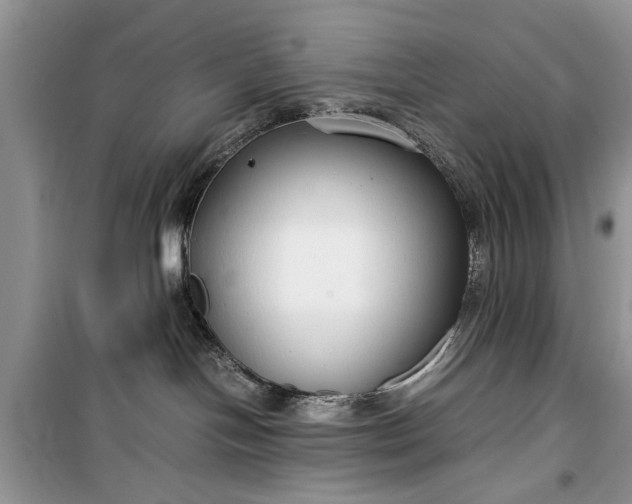 X0000099510094200805291159