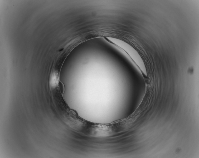 X0000099510095200805291159