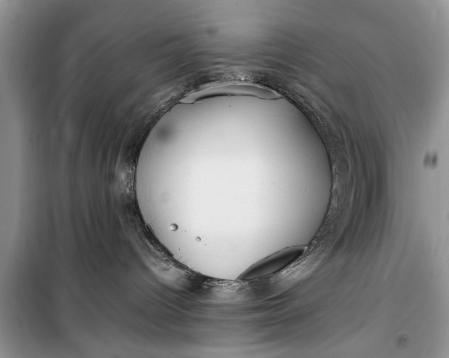 X0000099510096200805291159