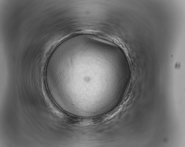 X0000099510097200805291158