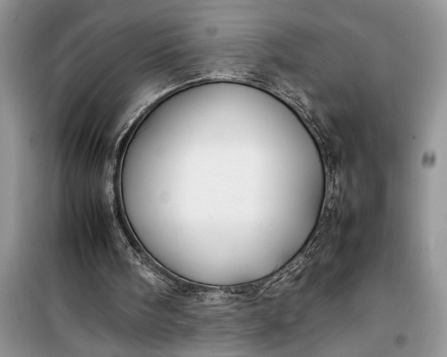 X0000099510098200805291158