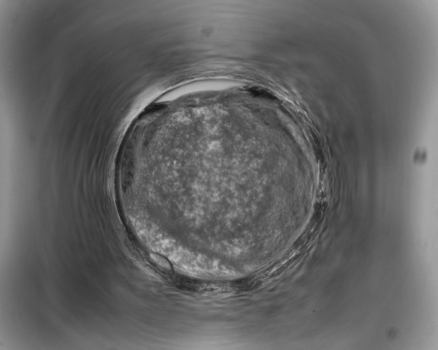 X0000099510099200805291158