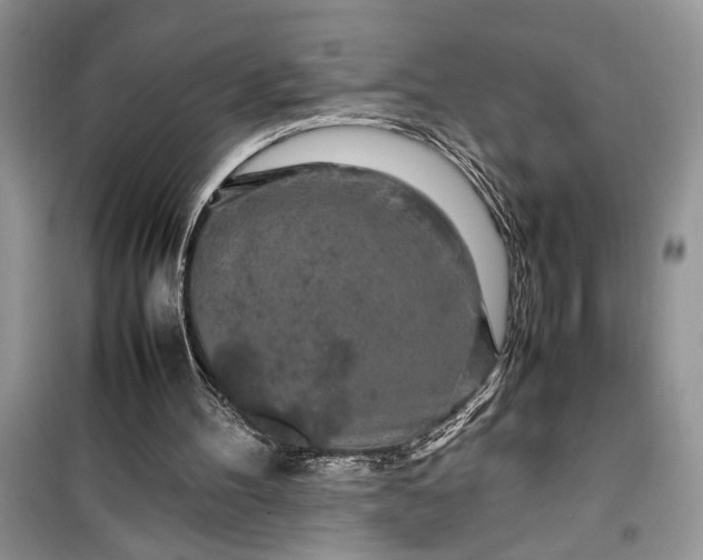 X0000099510100200805291158