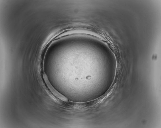 X0000099510101200805291158