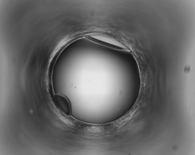 X0000099510102200805291158