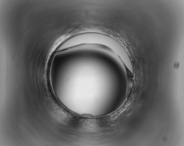 X0000099510104200805291158