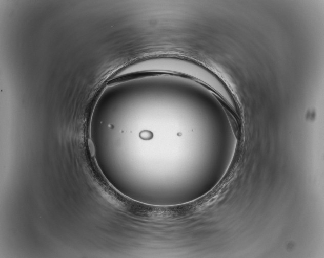 X0000099510105200805291158