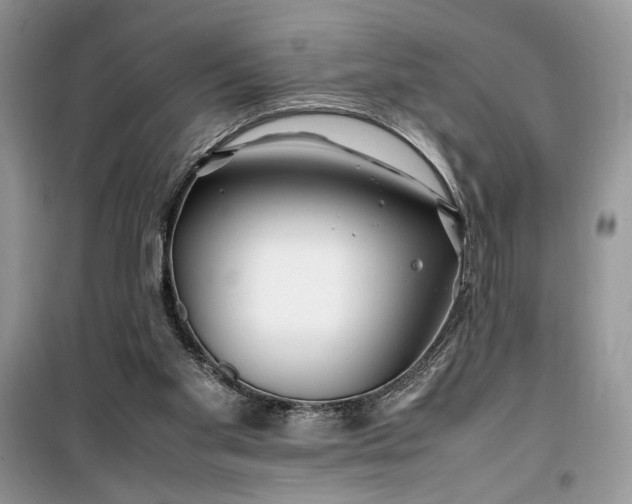 X0000099510109200805291158