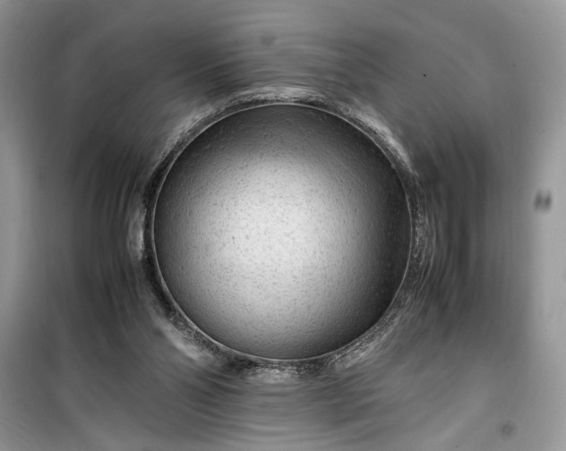 X0000099510110200805291158