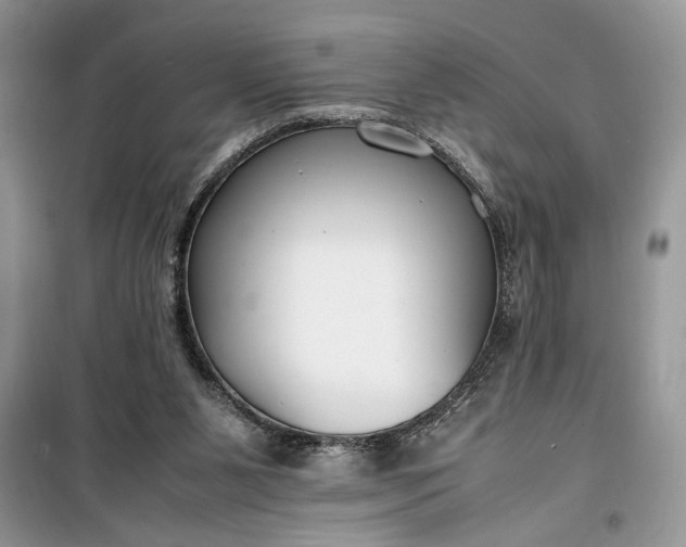 X0000099510111200805291158