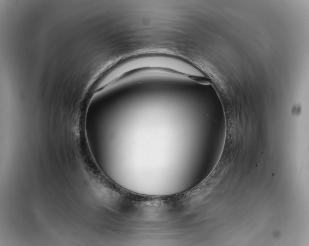 X0000099510112200805291158